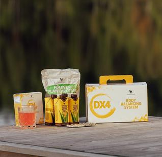 Dx4 Body balancing system (not box)